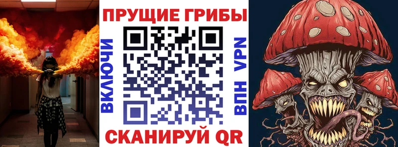 наркотики Перевоз Псилоцибиновые грибы GOLDEN TEACHER